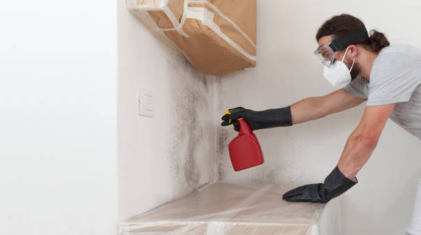 Professional Attic Mold Remediation technician working in Mine Hill, NJ