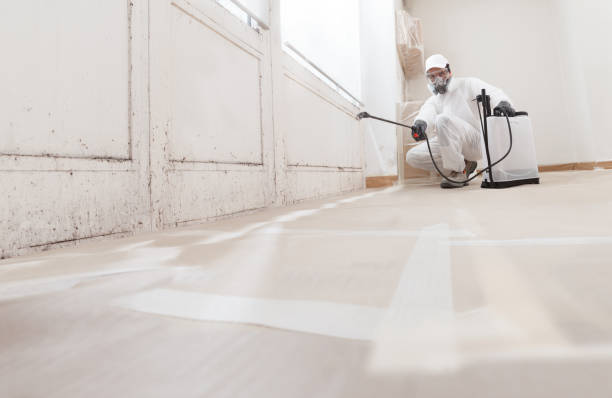 24/7 Emergency Attic Mold Remediation experts in Mine Hill, NJ