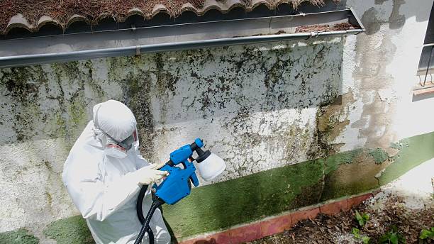 Top rated local Attic Mold Remediation specialists in Mine Hill, NJ